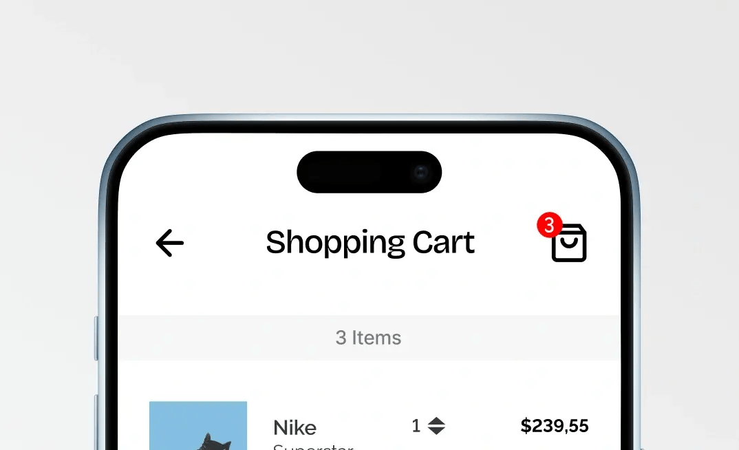 Abandoned checkout recovery Abandoned checkout recovery
